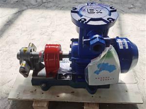 不銹鋼齒輪泵-不銹鋼齒輪油泵